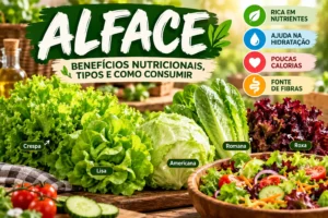 benefícios da alface e diferentes tipos de alface fresca