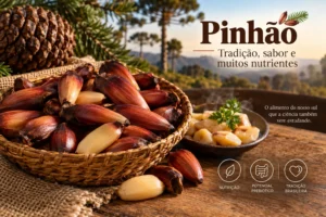 Benefícios do Pinhão: Nutrientes, Consumo e o Que Diz a Ciência
