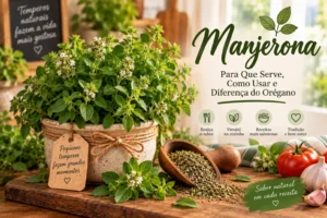 Manjerona: Para Que Serve, Como Usar e Diferença do Orégano