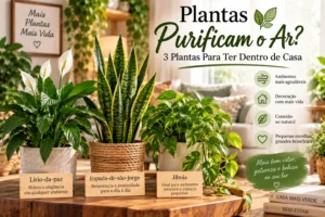 plantas que purificam o ar