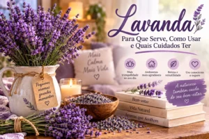 Lavanda: Para Que Serve, Como Usar e Quais Cuidados Ter